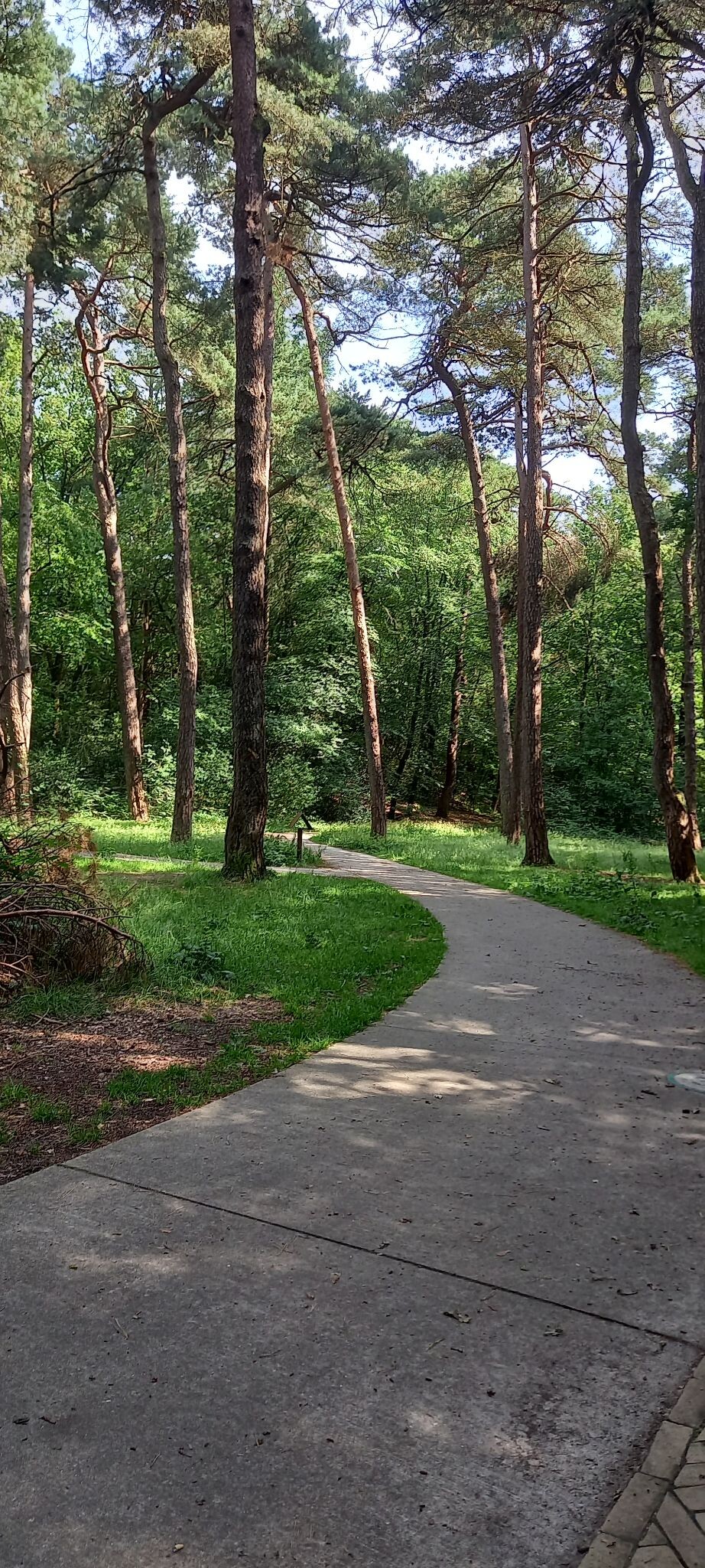 Wandelroute Bosberg