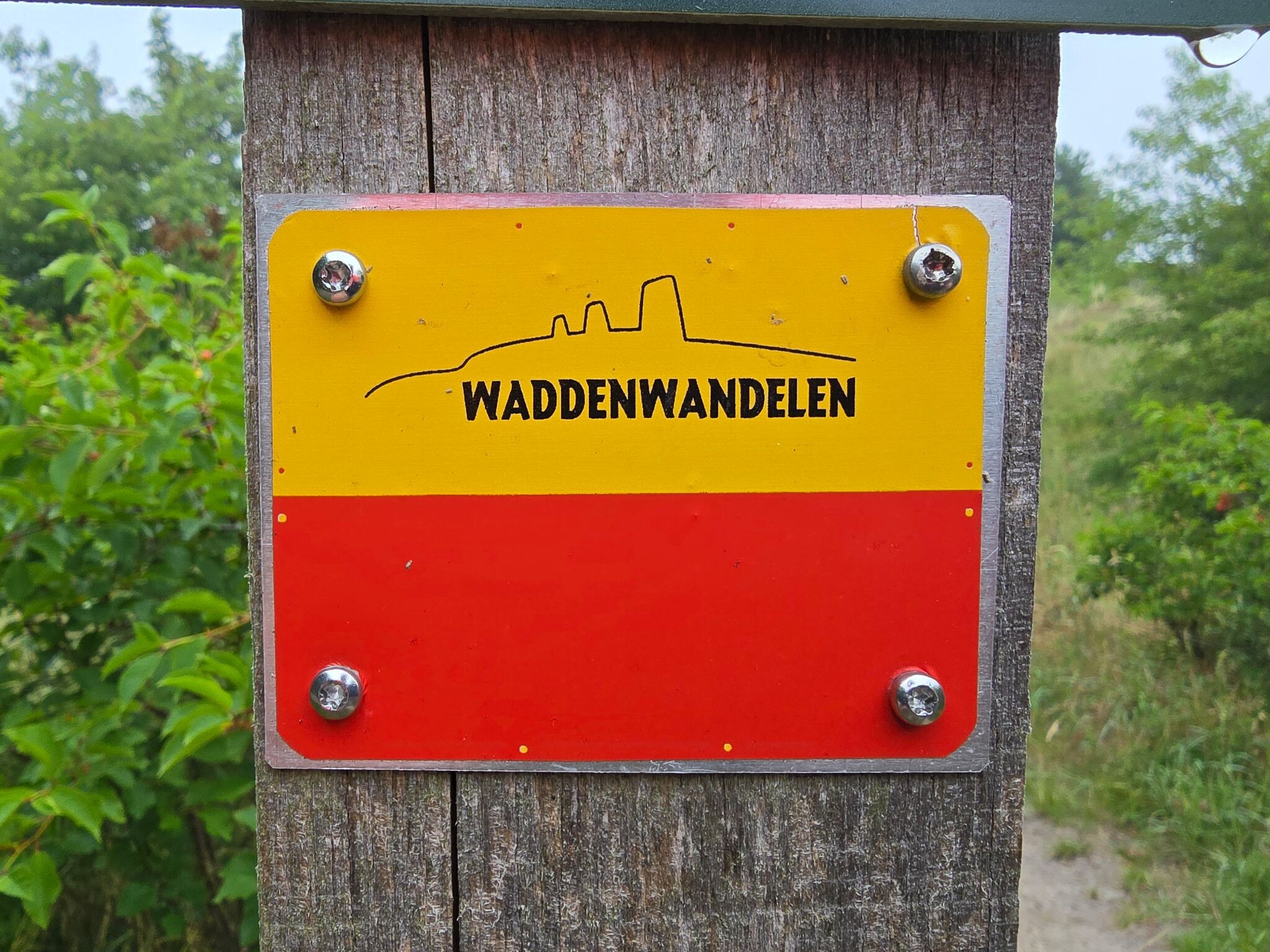 Foto van opname