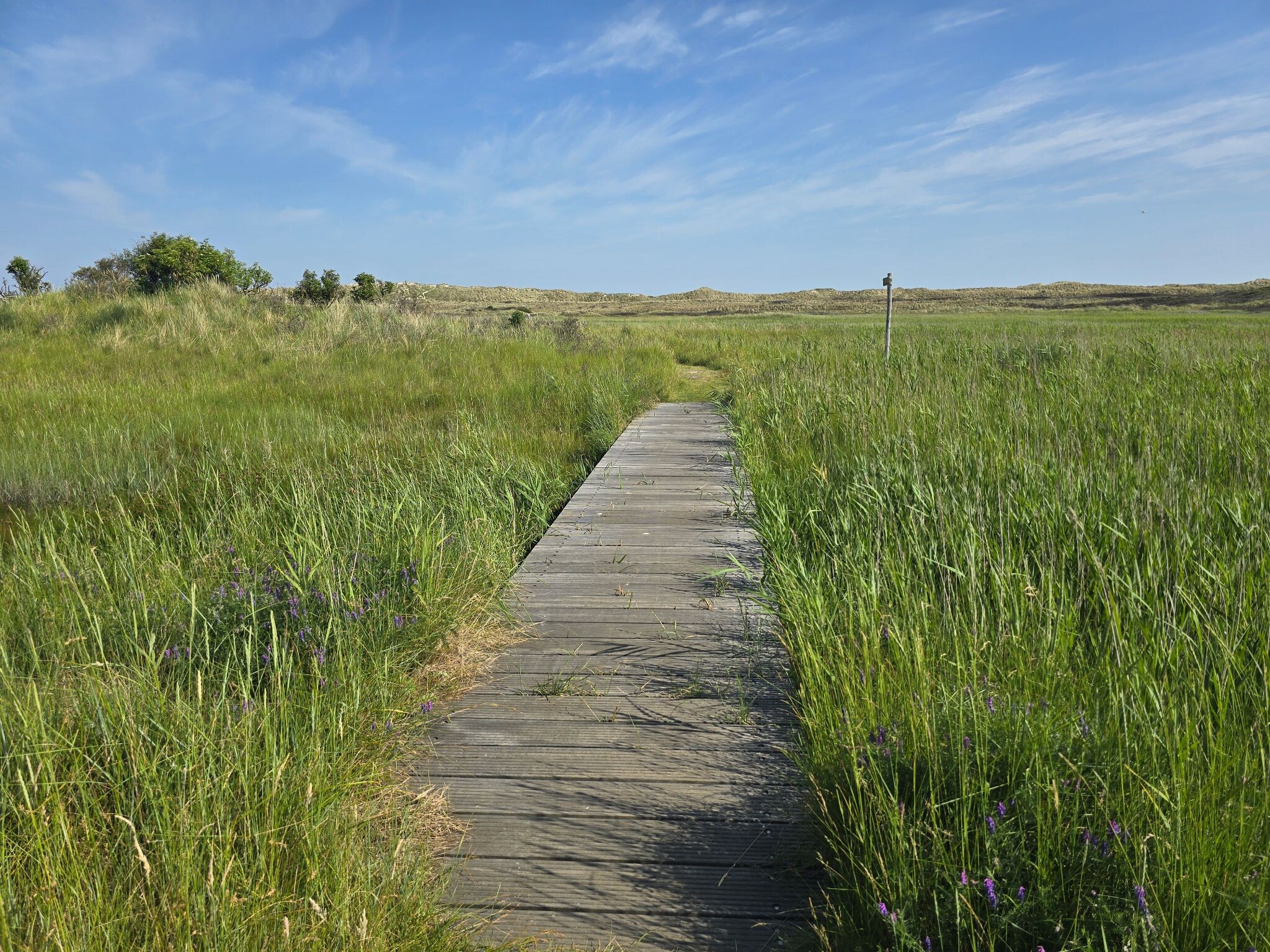 Duinen Ameland