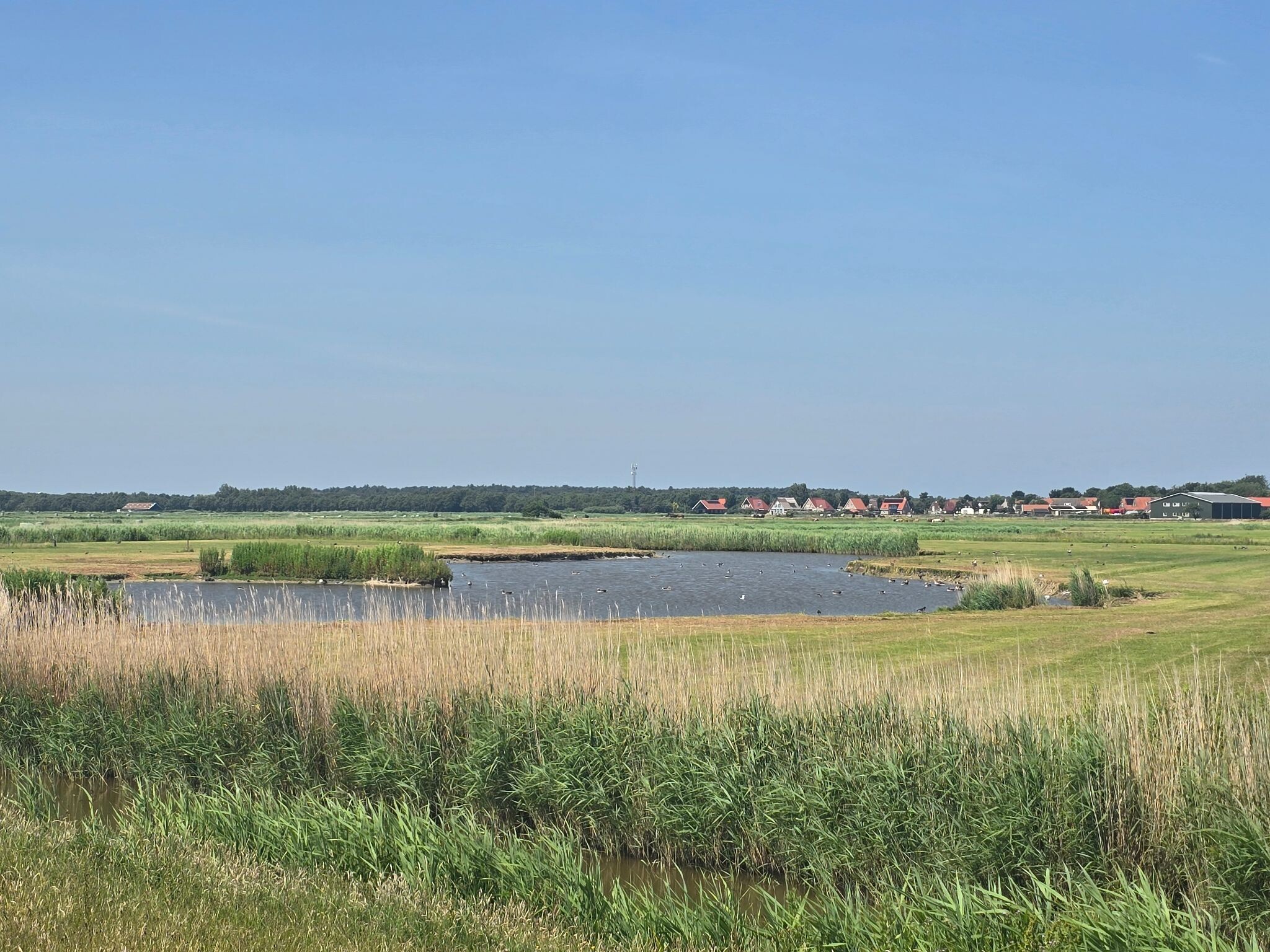 Buren/molenplaat Nes via Wad