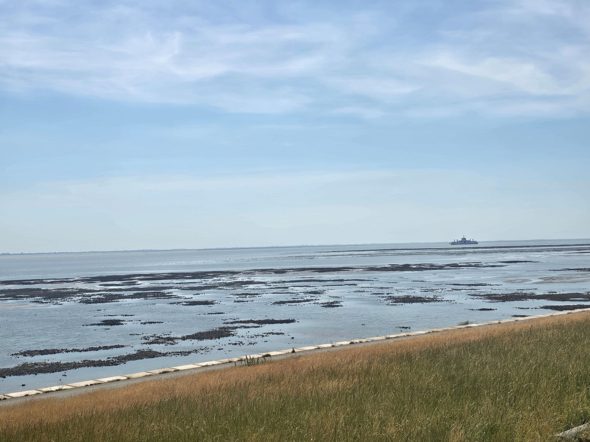 Buren/molenplaat Nes via Wad