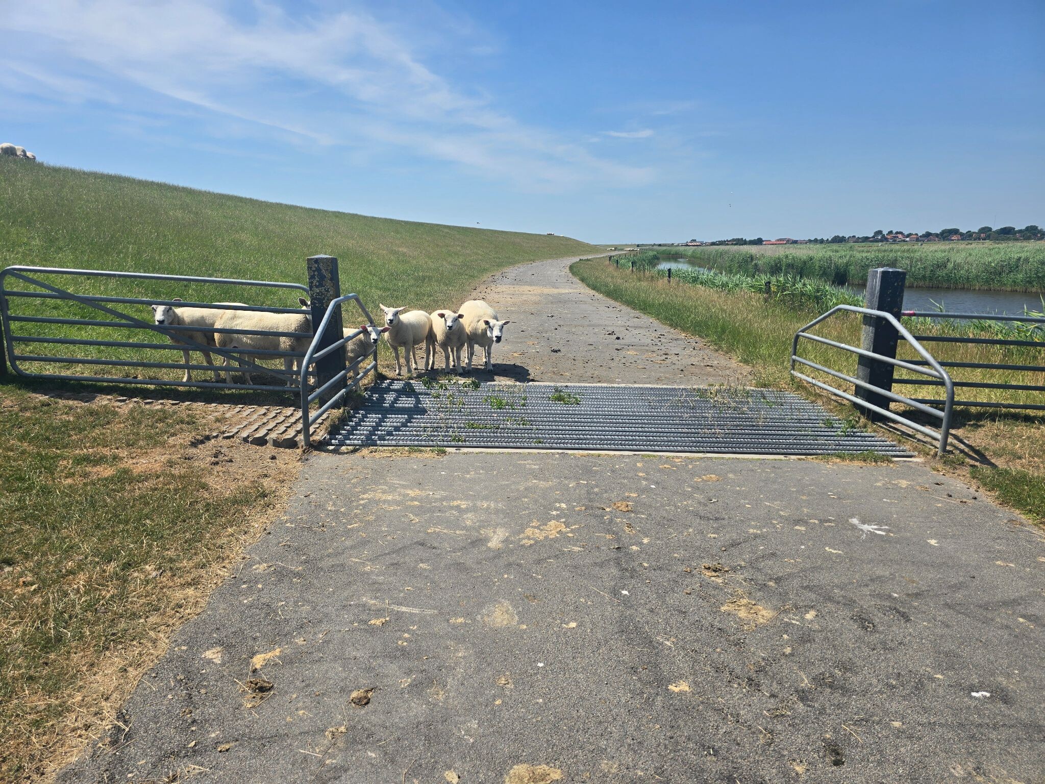 Buren/molenplaat Nes via Wad