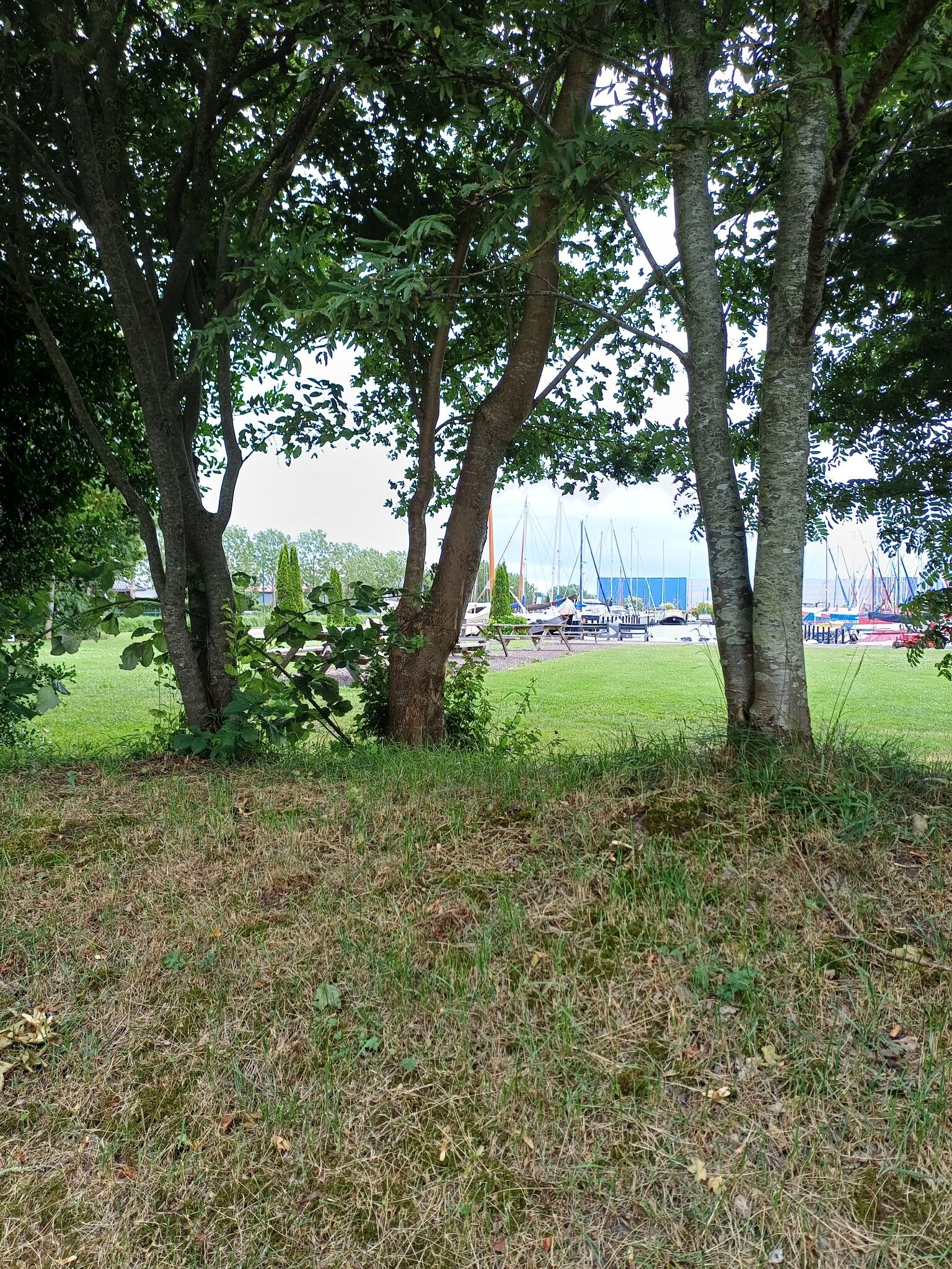 Pauzewandeling 3