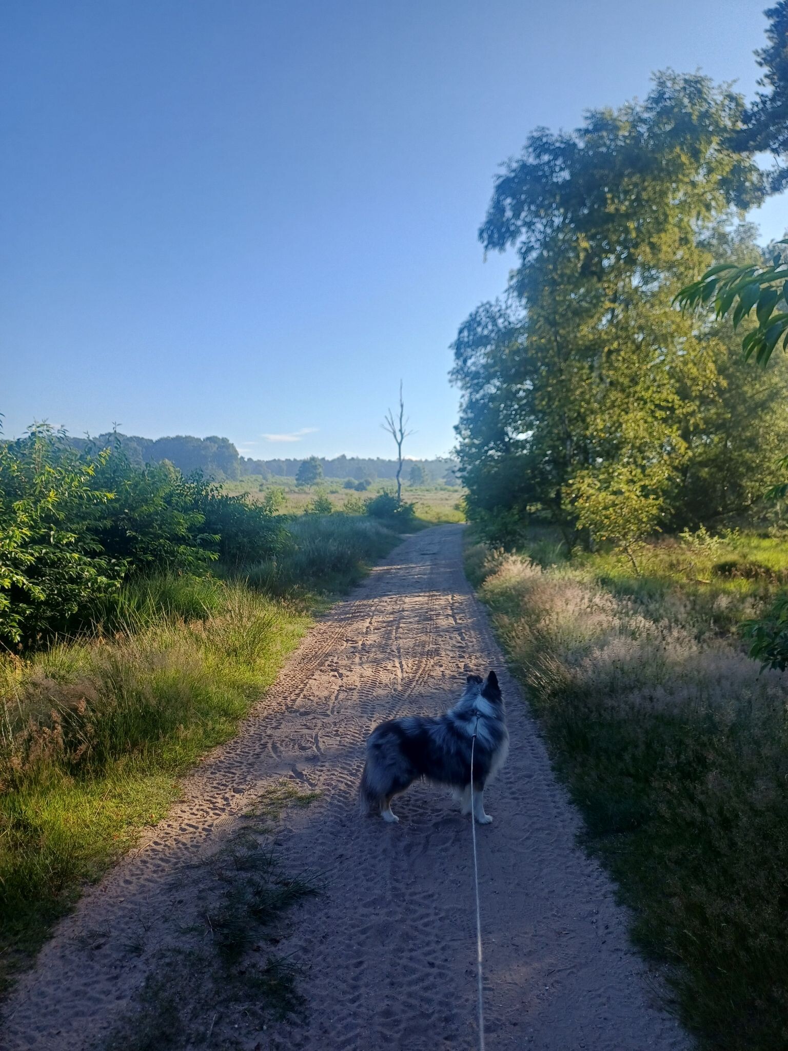 Wandelroute Schenkenshul