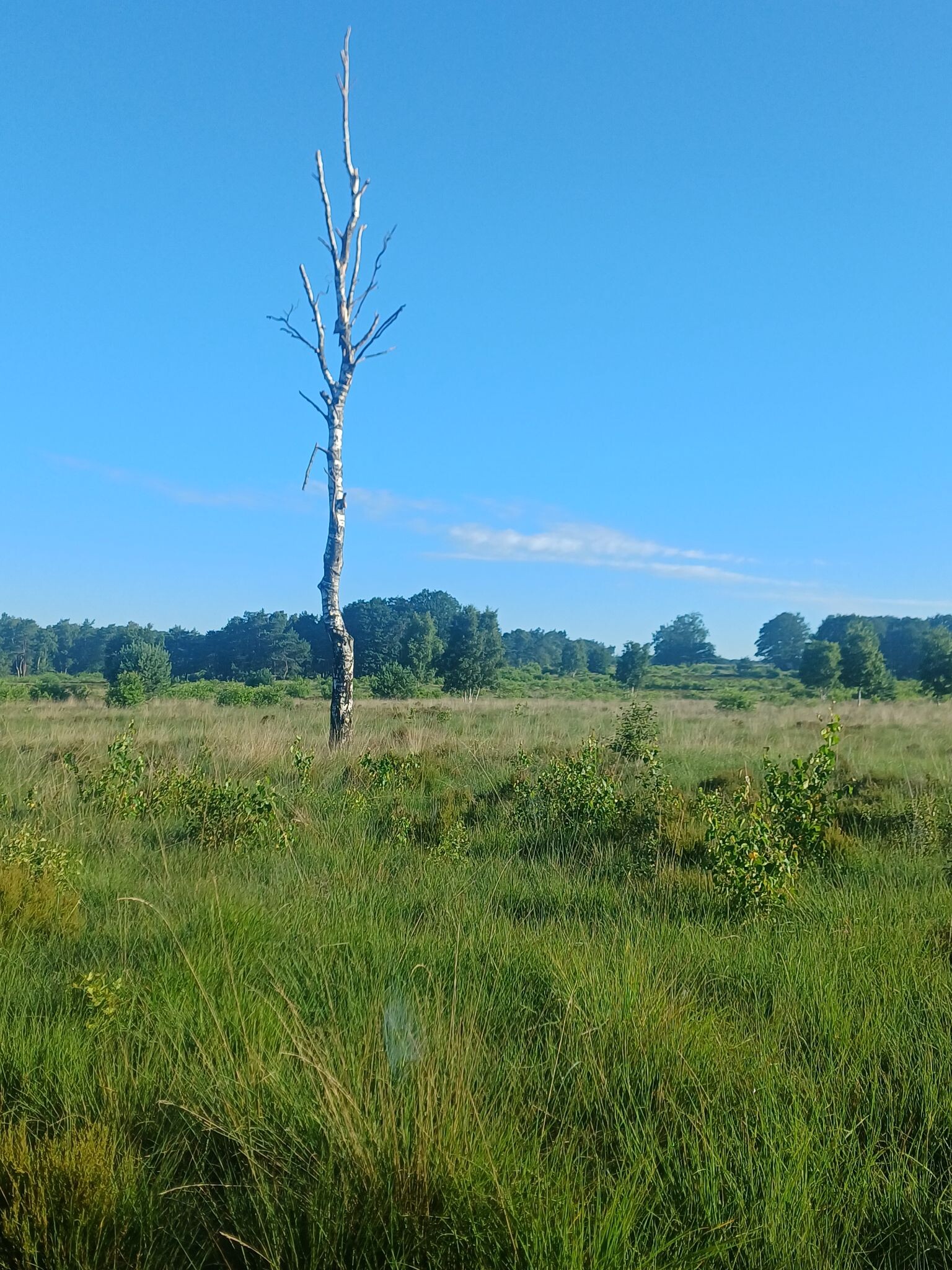 Wandelroute Schenkenshul