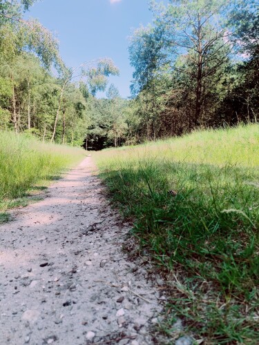 Wandelroute Bergelt