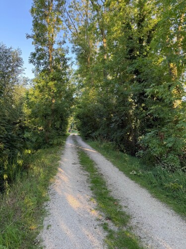 Landmerken: Onder klokslag van Oetwier