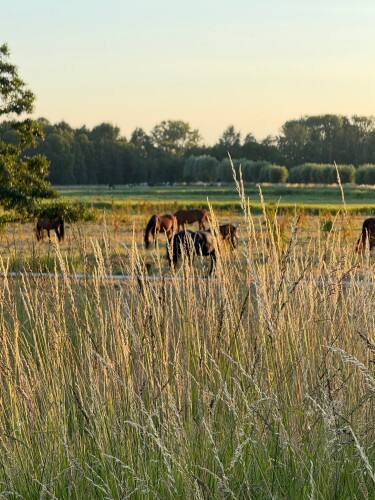 Landmerken: Onder klokslag van Oetwier