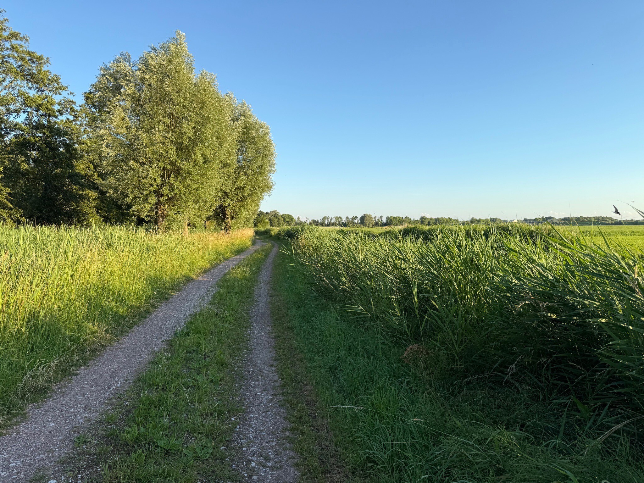 Delfzijl
