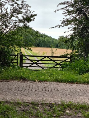 Dorpsommetje Oosterzand