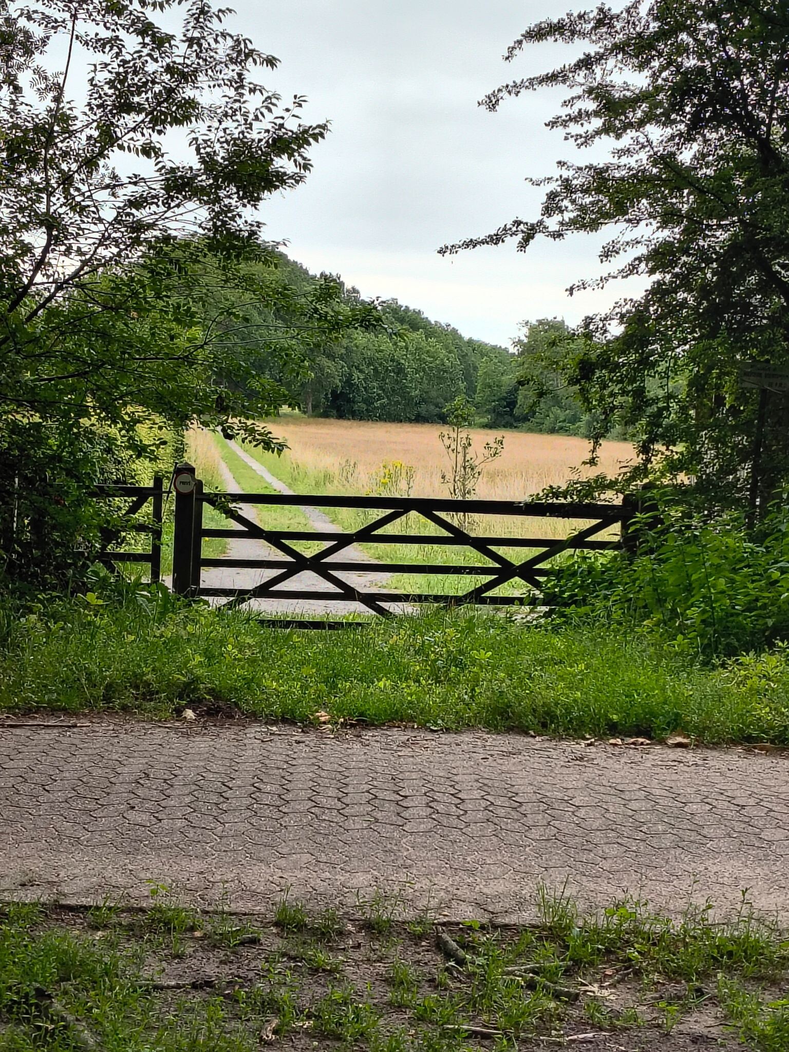 Dorpsommetje Oosterzand