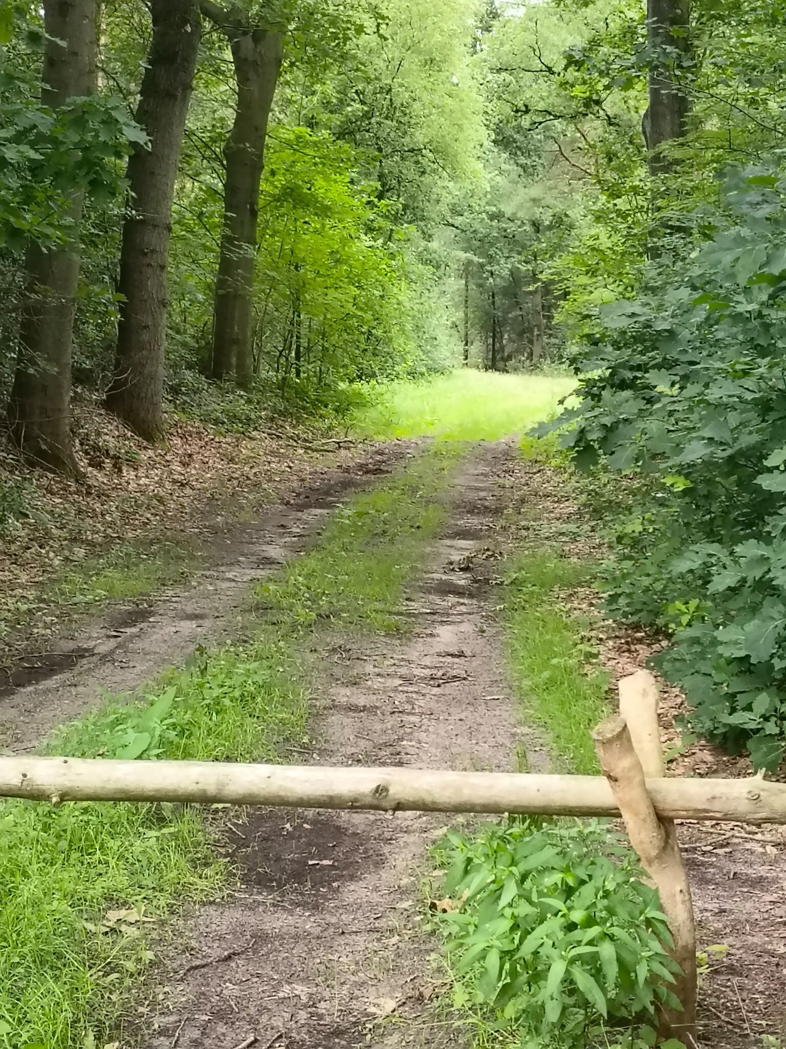 Dorpsommetje Oosterzand