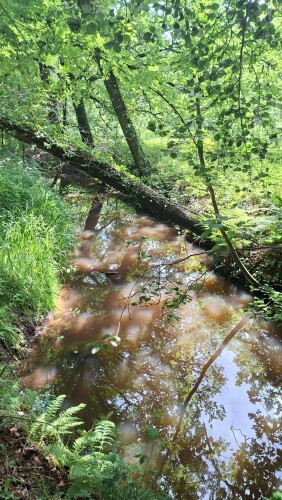 Biest-Houtakker - Goirle · Roots Natuurpad etappe 32