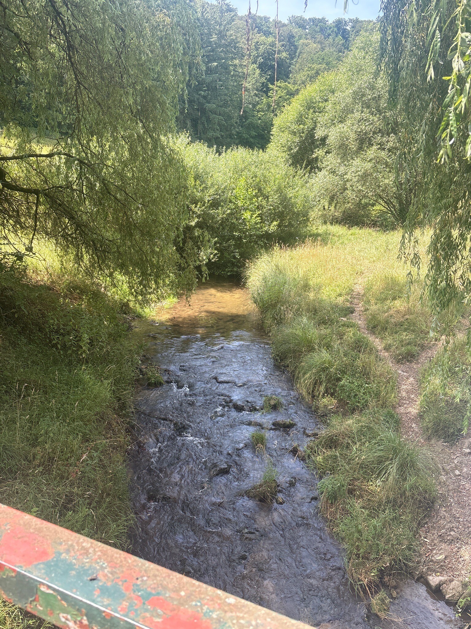Waldbillig