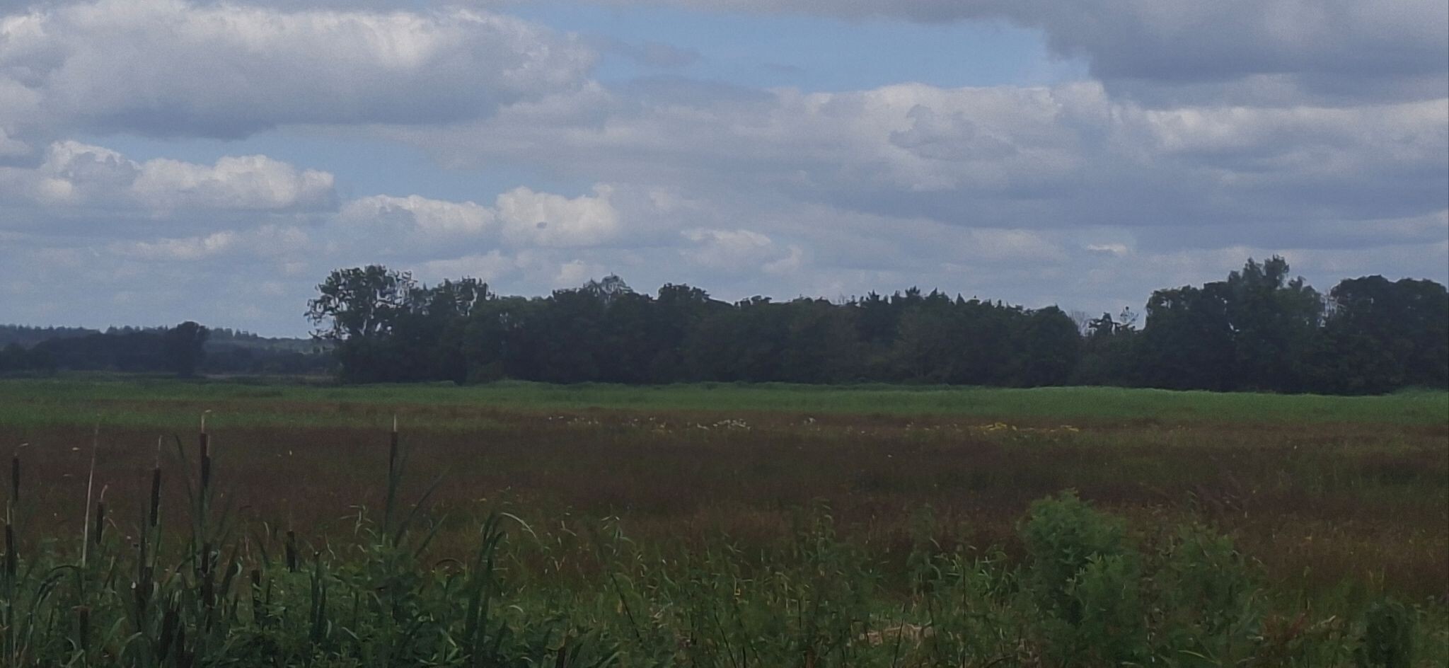 Foto van opname