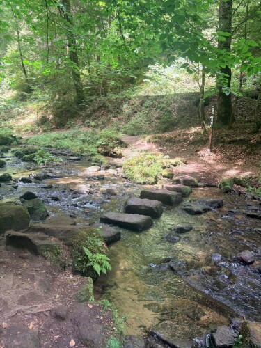 Mullerthal W5
