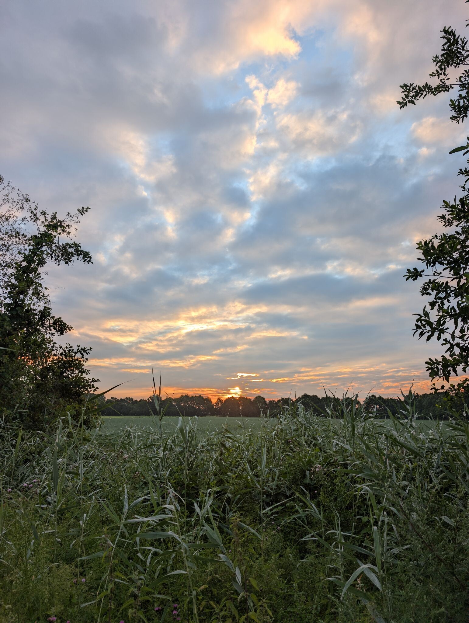 Zonsopkomstwandeling van Kampeerbeleving Dijksehoeve