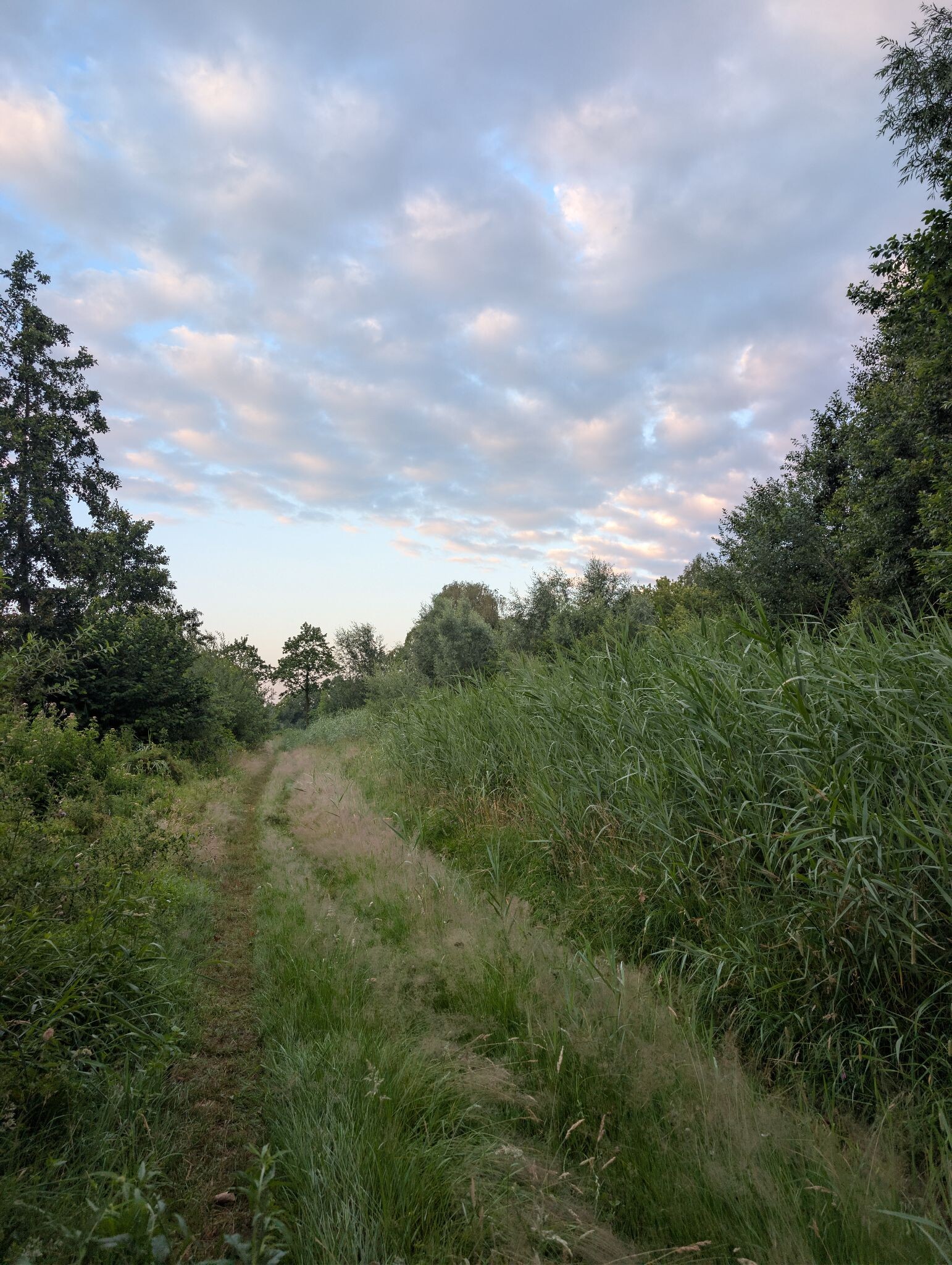 Zonsopkomstwandeling van Kampeerbeleving Dijksehoeve
