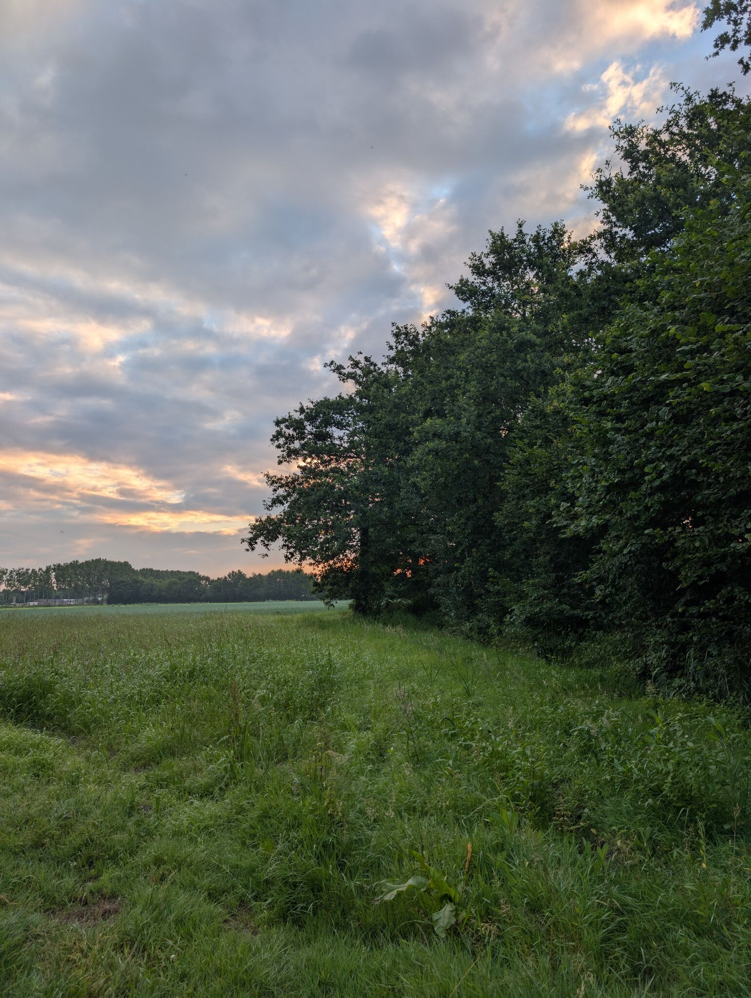Zonsopkomstwandeling van Kampeerbeleving Dijksehoeve