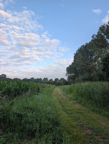 Zonsopkomstwandeling van Kampeerbeleving Dijksehoeve