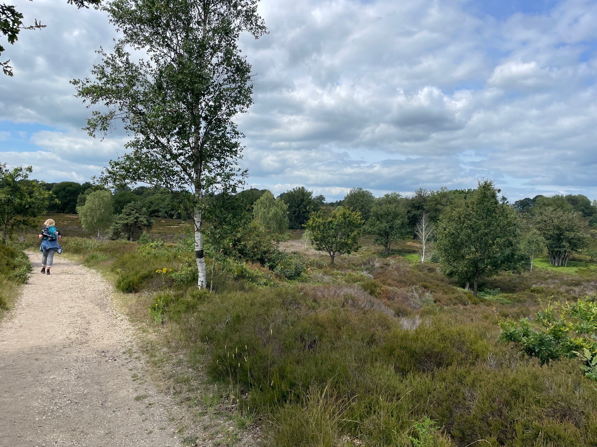 De Sallandse Heuvelrug