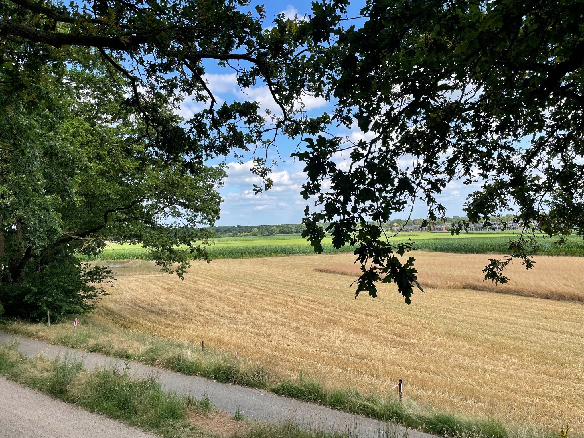 Hellendoorn - Holten · Pieterpad etappe 11