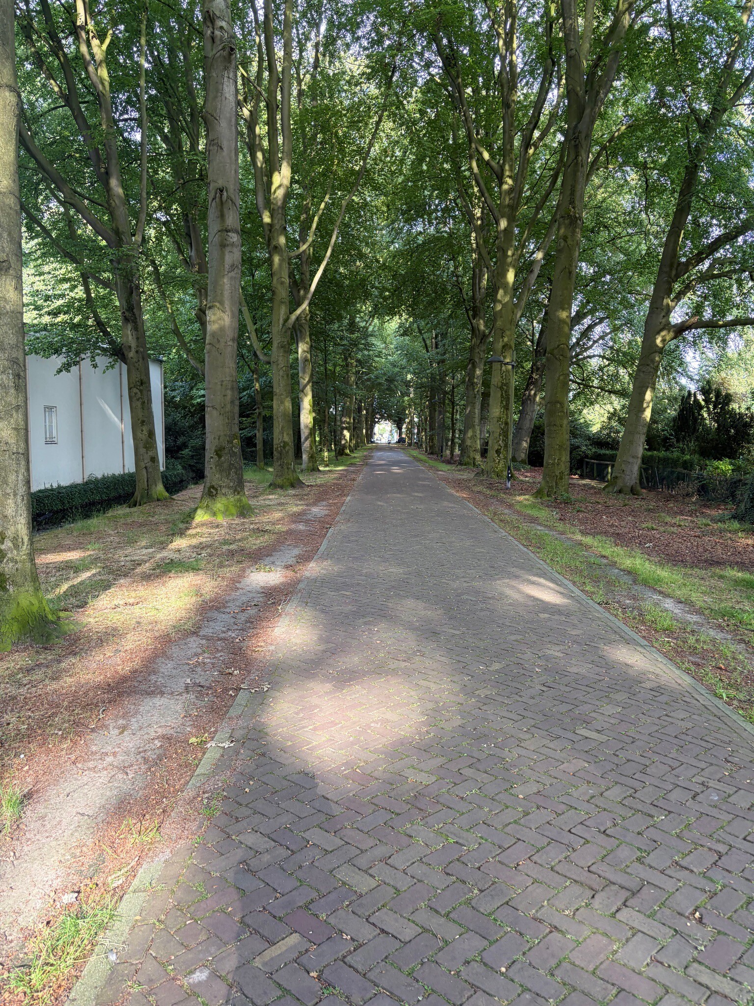 Almelo
