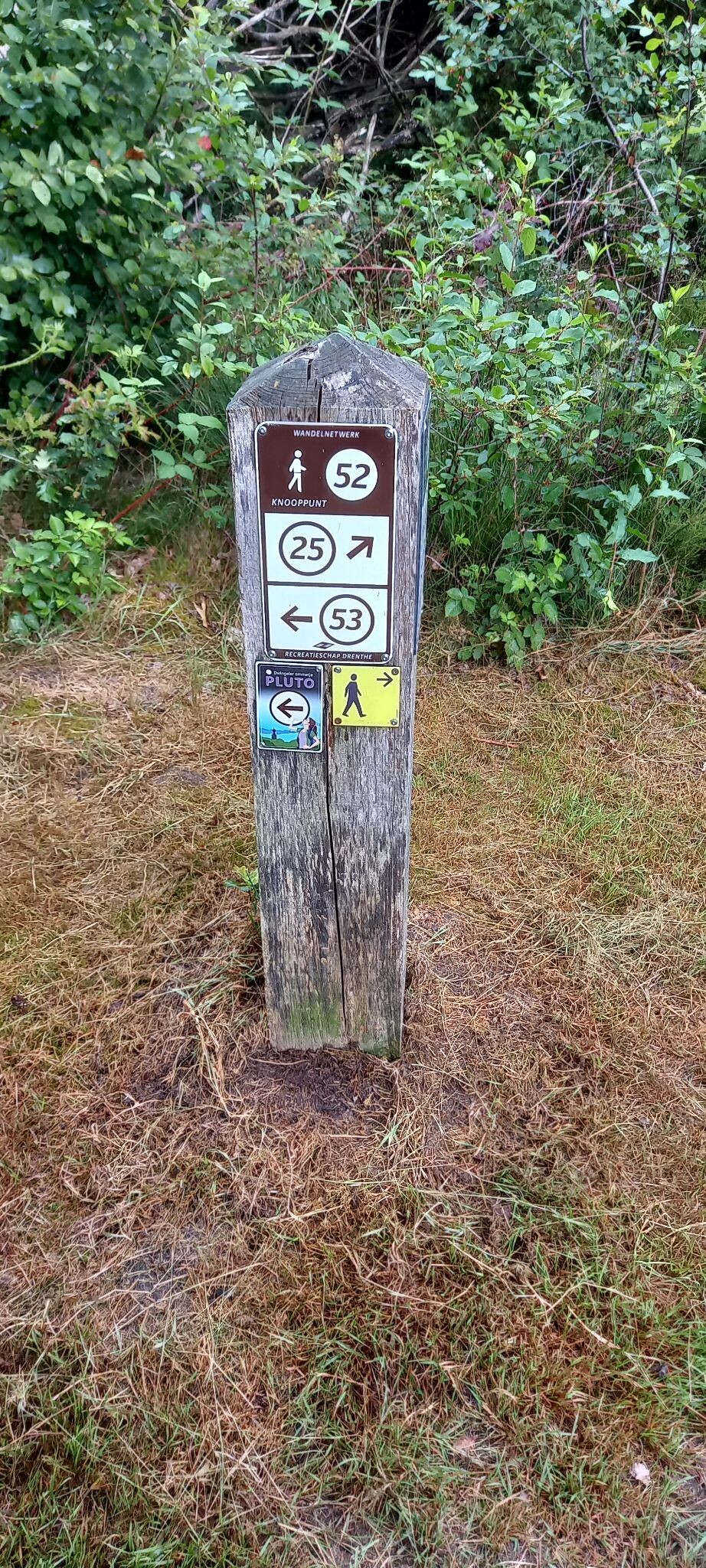 Dwingelderveld