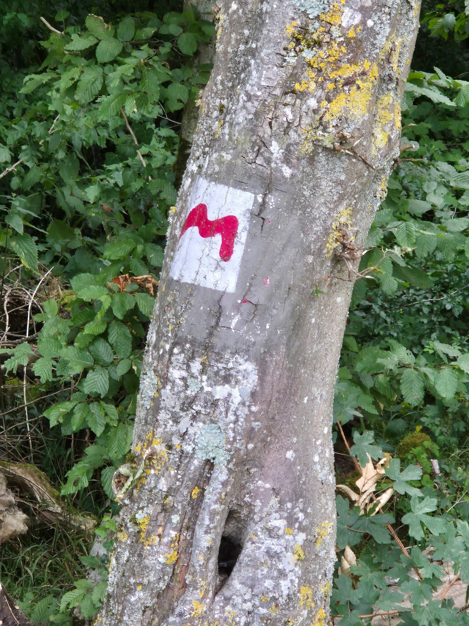 Rosport-Mompach