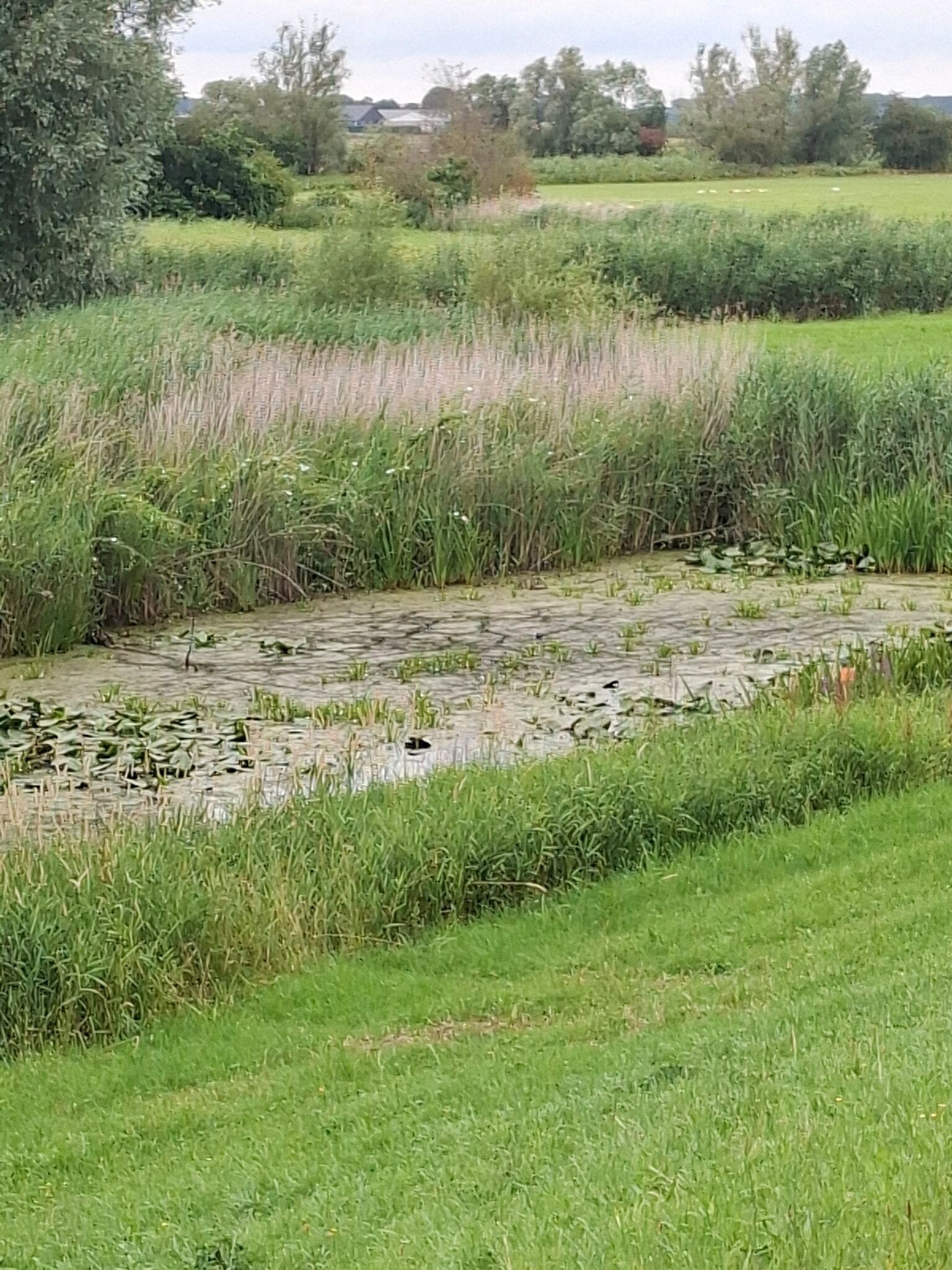 Zwolle - Wijhe · Jacobsweg Nieumeghen etappe 1