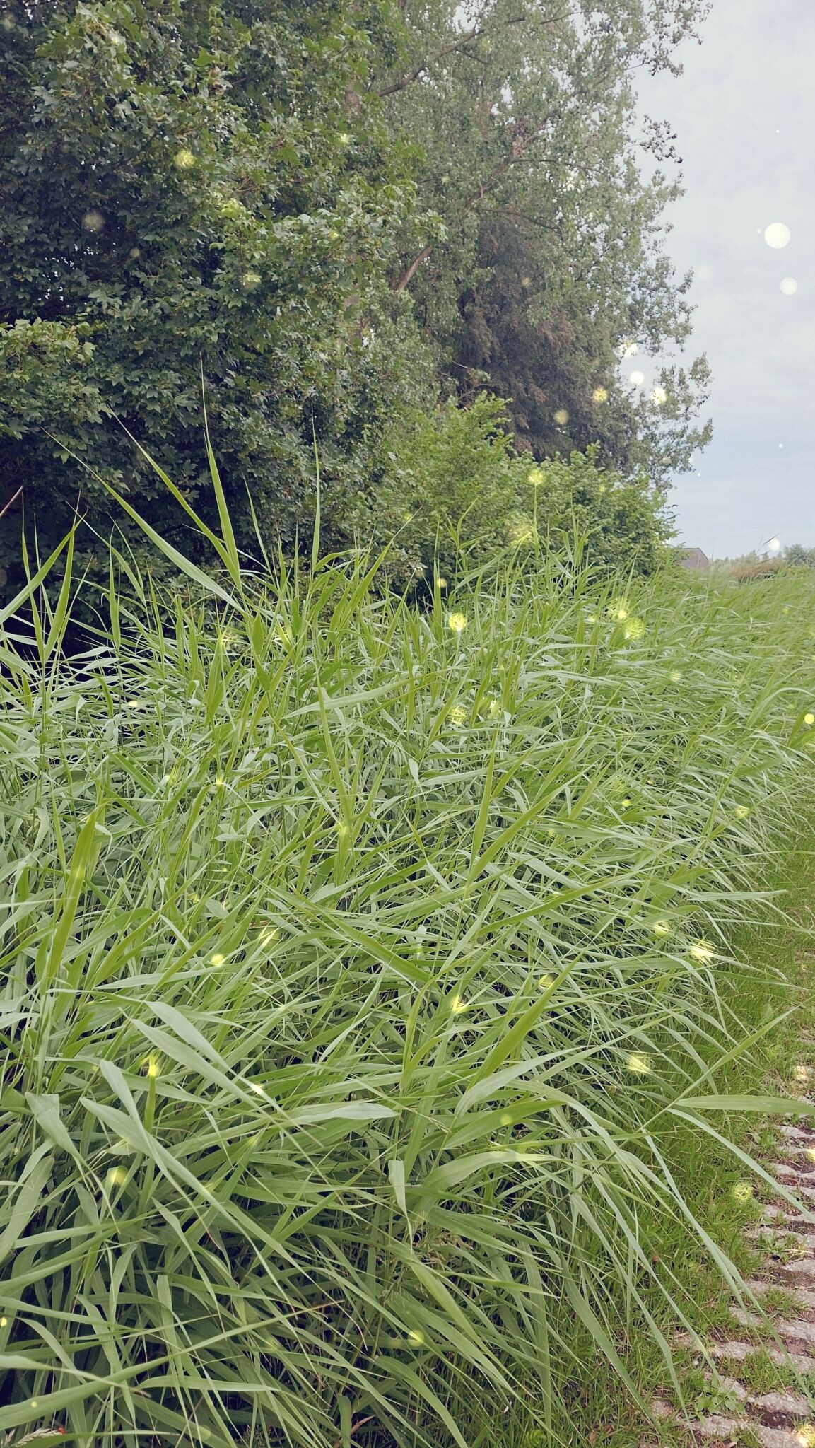 Stukje wandelen