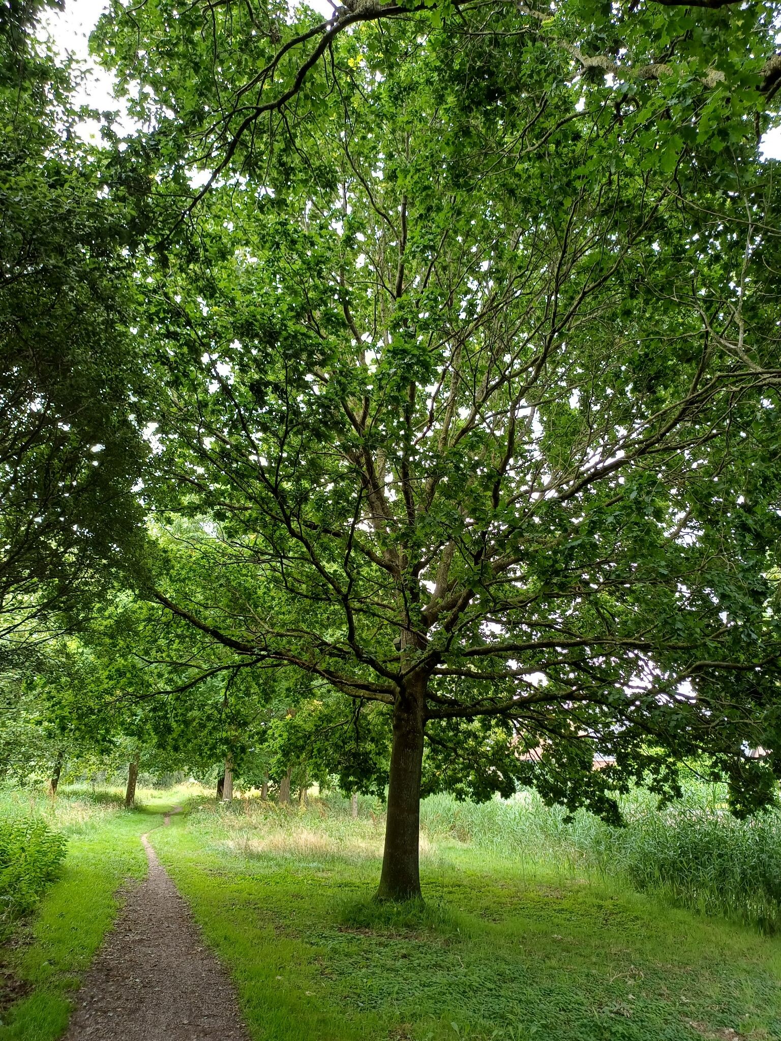Pauzewandeling 3