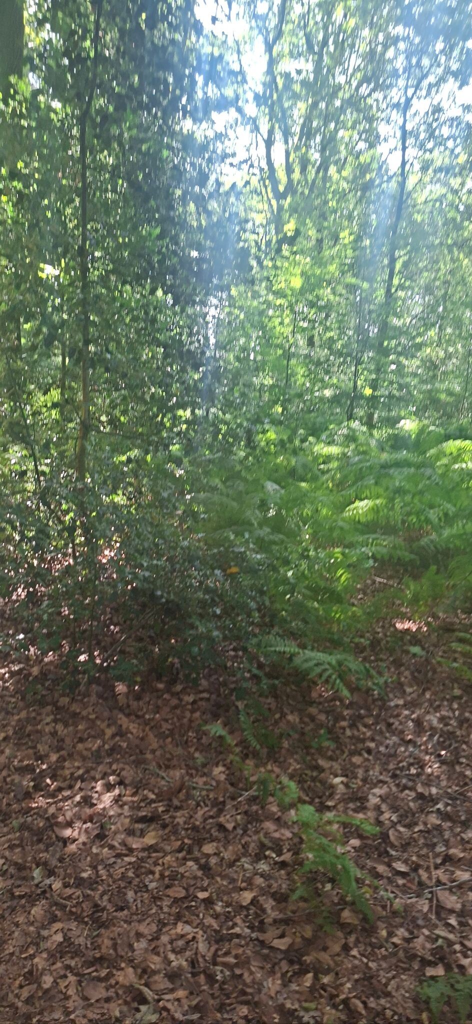 Foto van opname