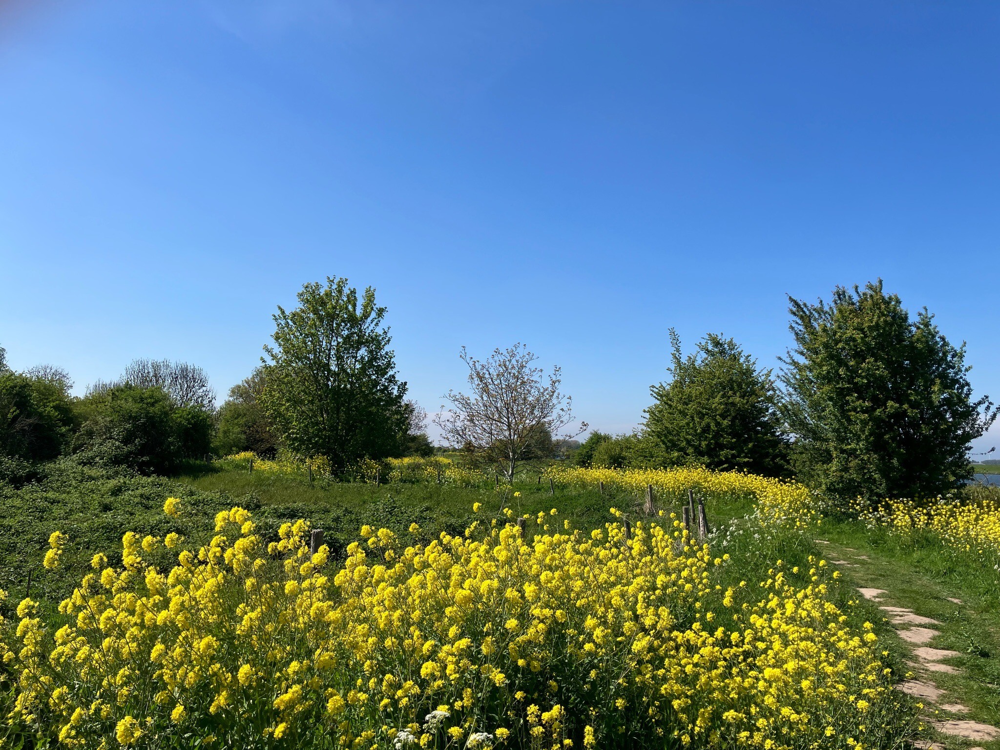 Culemborg