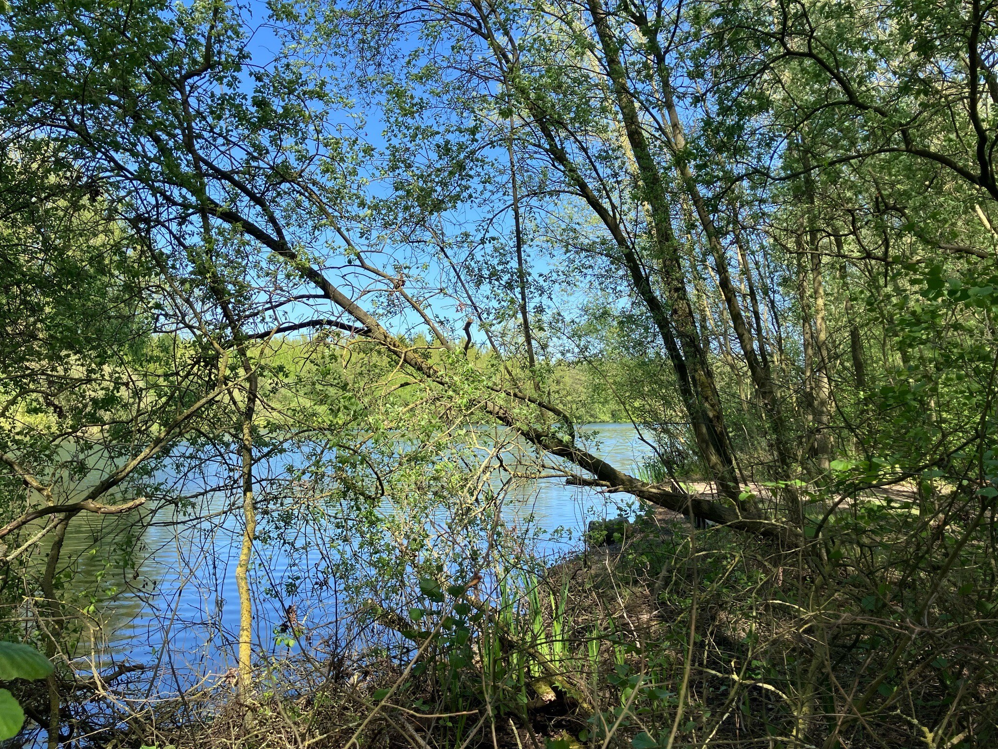Culemborg