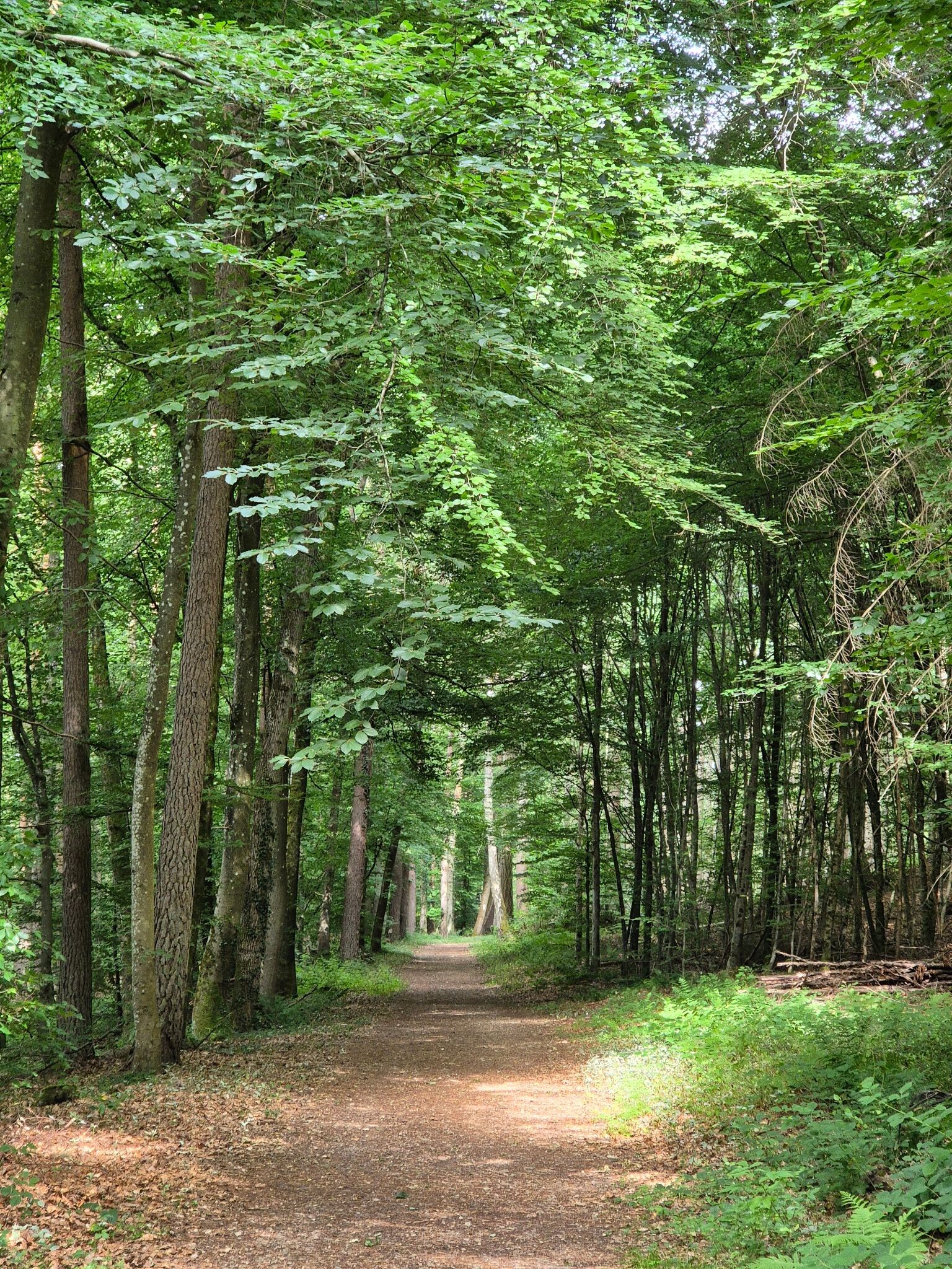 Mullerthal Trail