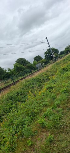 Amerongen - Rhenen · Utrechtse Mountain Trail etappe 8