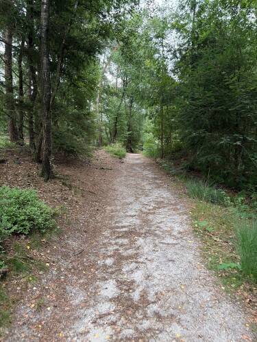 Ommen - Hellendoorn · Pieterpad etappe 10