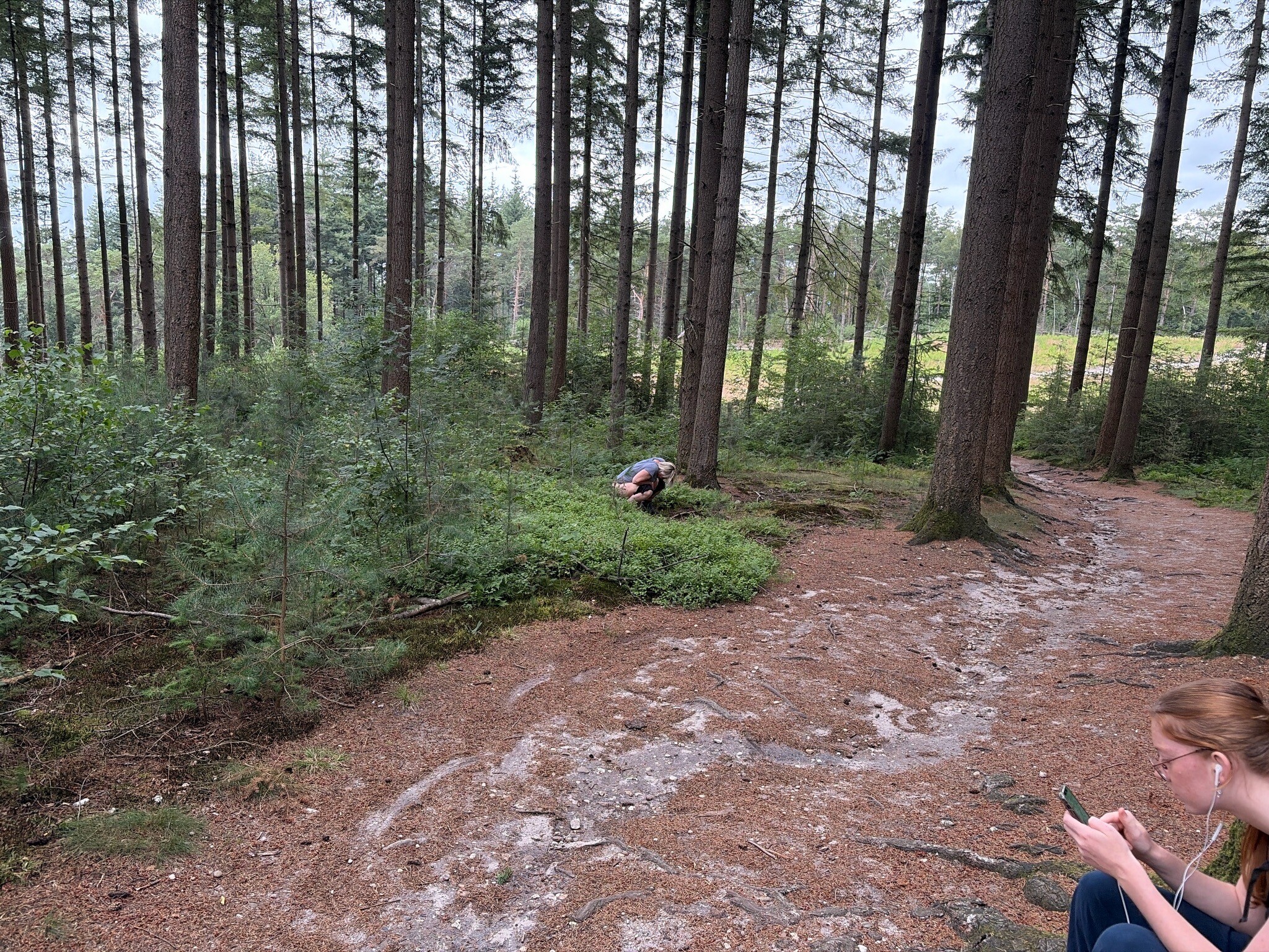 Ommen - Hellendoorn · Pieterpad etappe 10