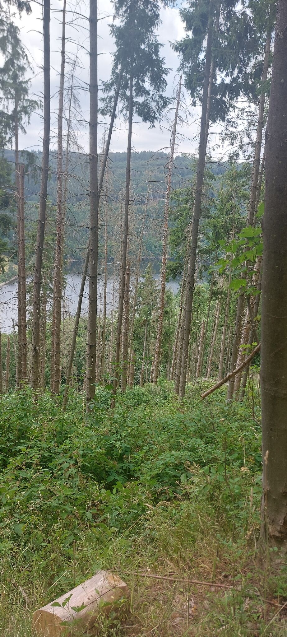 Naturpark Hohes Venn-Eifel
