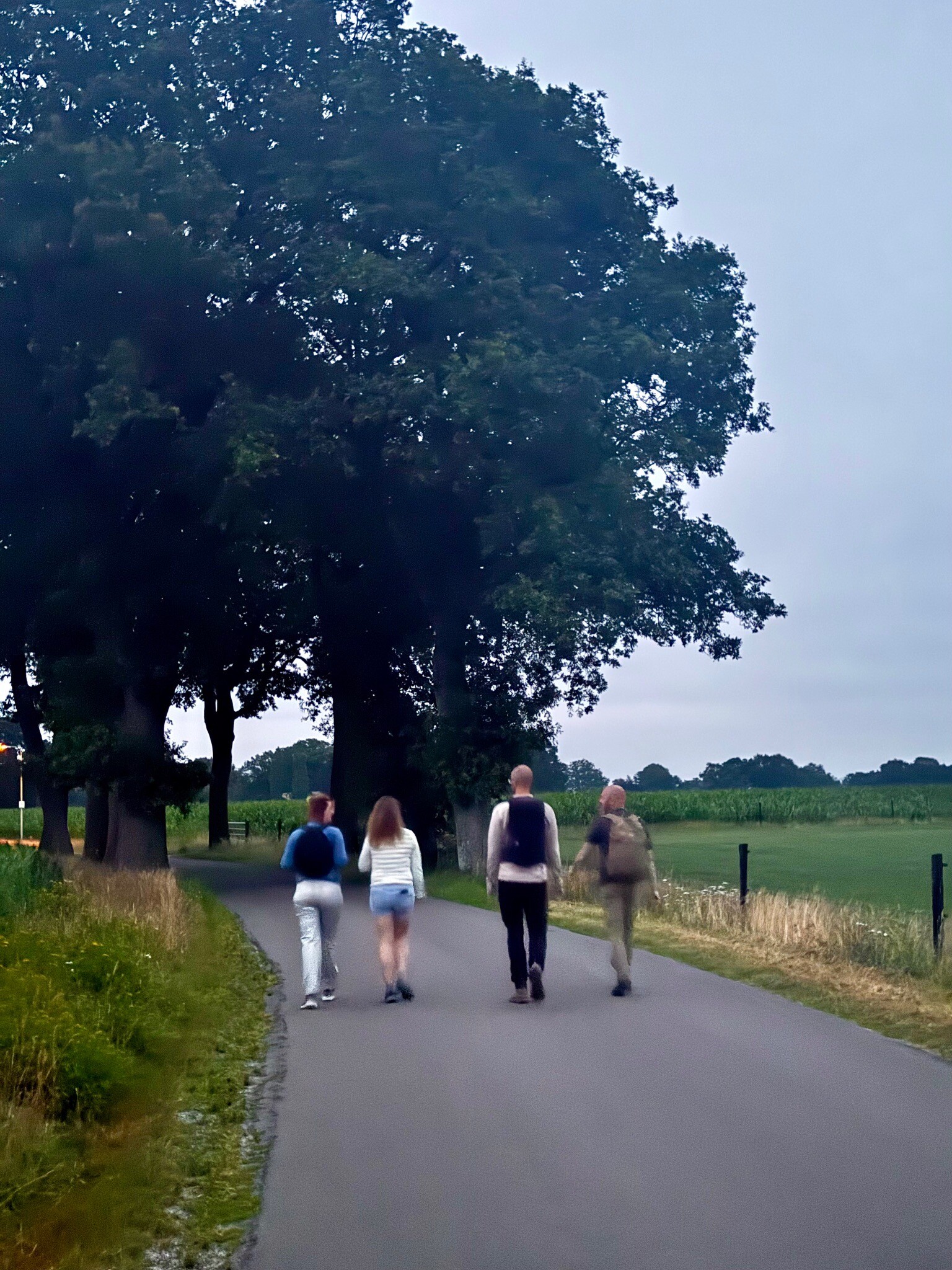 Cultuurpad Coevorden 17 Sleen - Holsloot