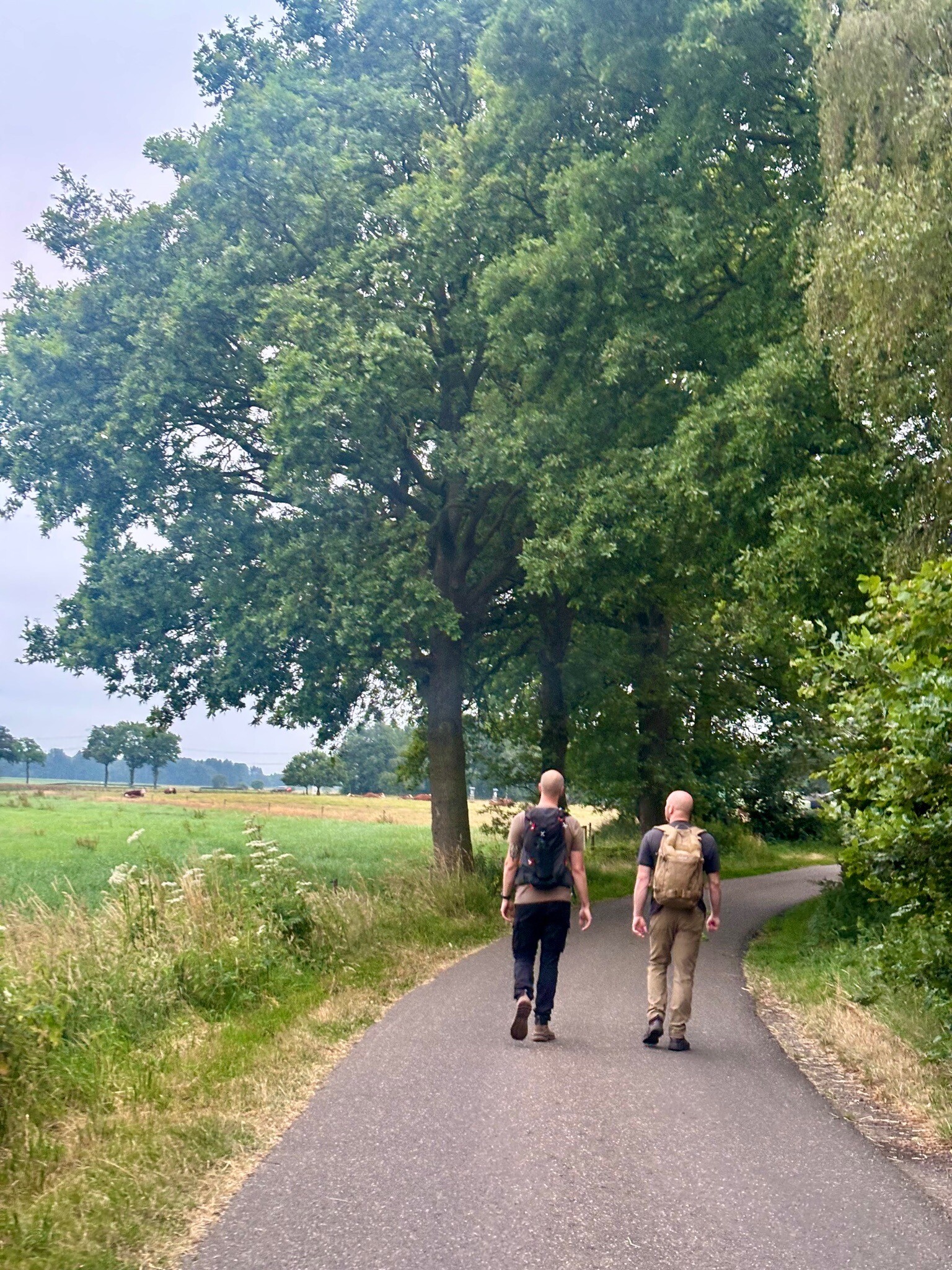 Cultuurpad Coevorden 17 Sleen - Holsloot