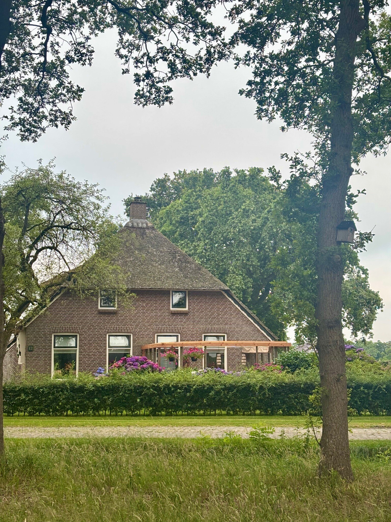 Cultuurpad Coevorden 17 Sleen - Holsloot