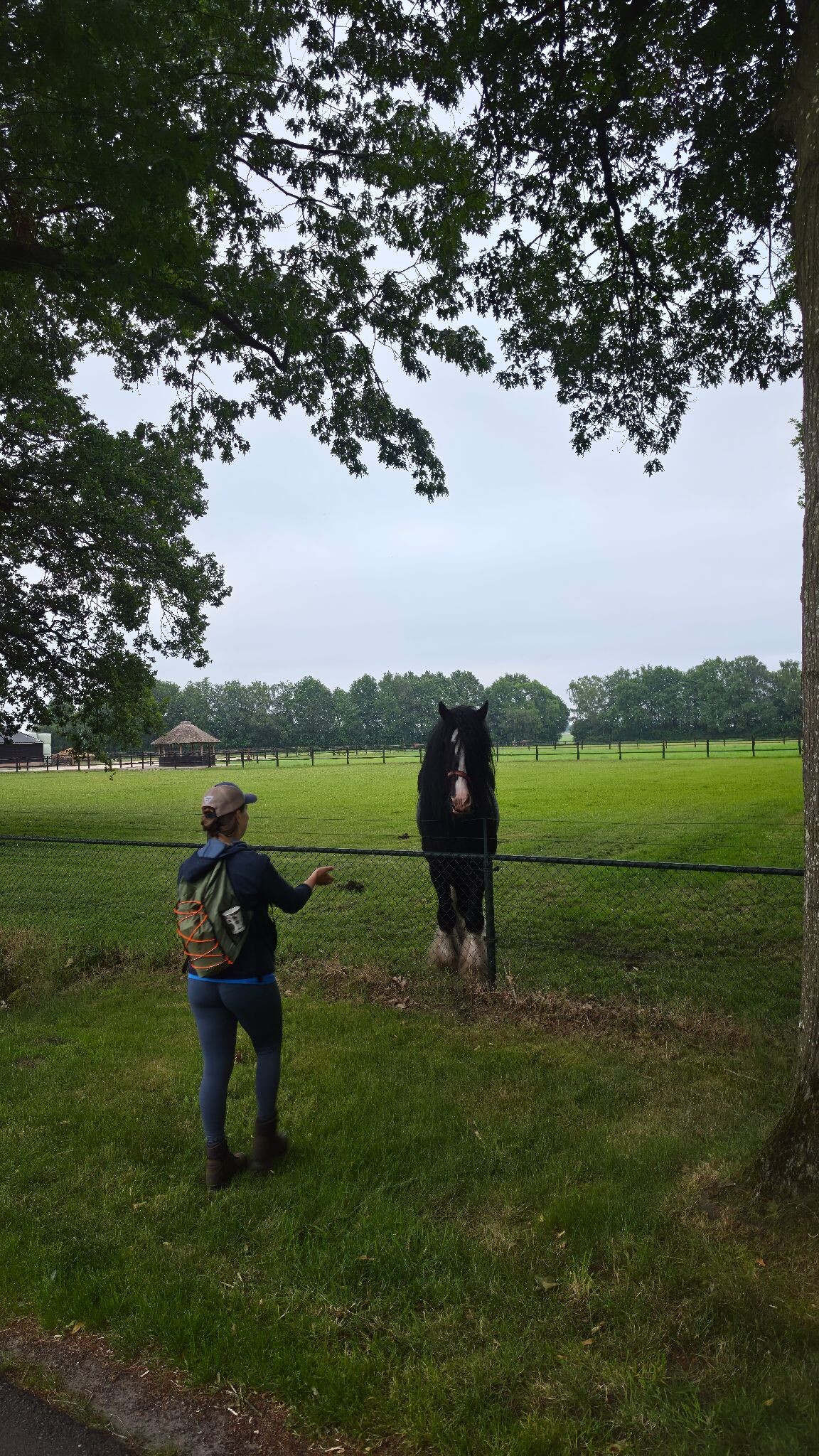 Foto van opname