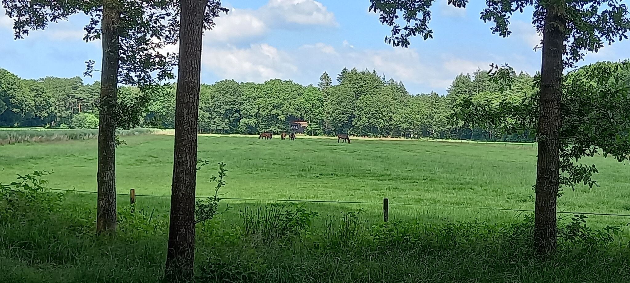 Altena - Vries · Jacobspad Uithuizen - Hasselt etappe 5
