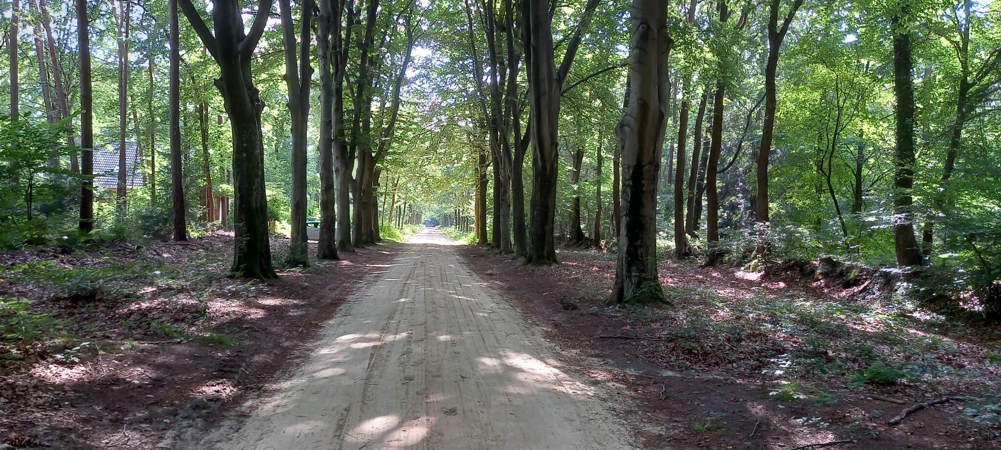 Altena - Vries · Jacobspad Uithuizen - Hasselt etappe 5