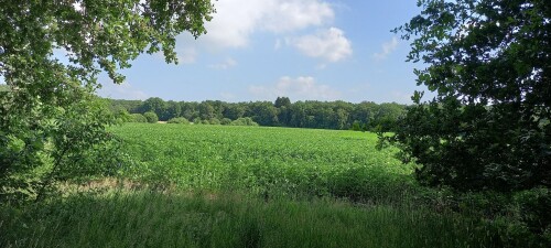 Gele paaltjesroute Norg | richting Langelo