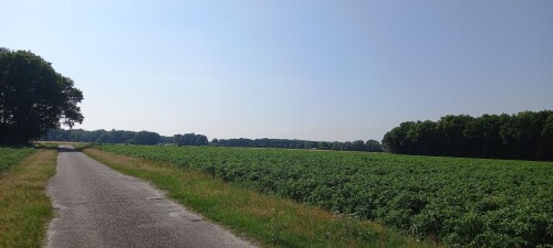 Gele paaltjesroute Norg | richting Langelo