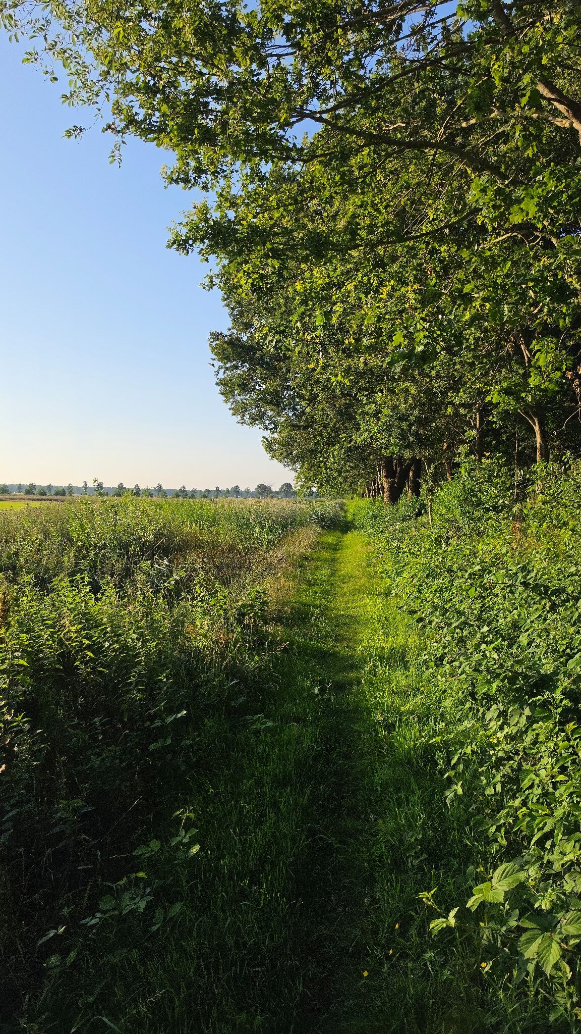Foto van opname