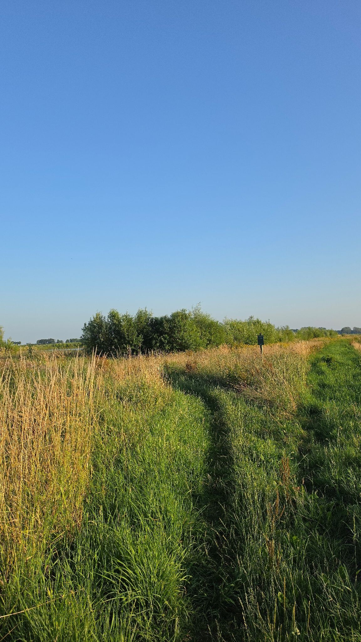 Foto van opname